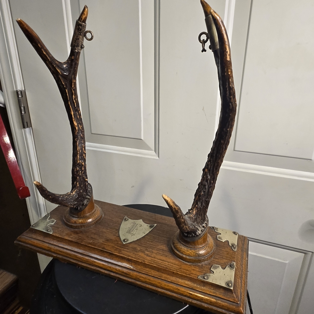 19th / 20th Century Antler Sword Stand Tabletop Display on Wood Base Antique